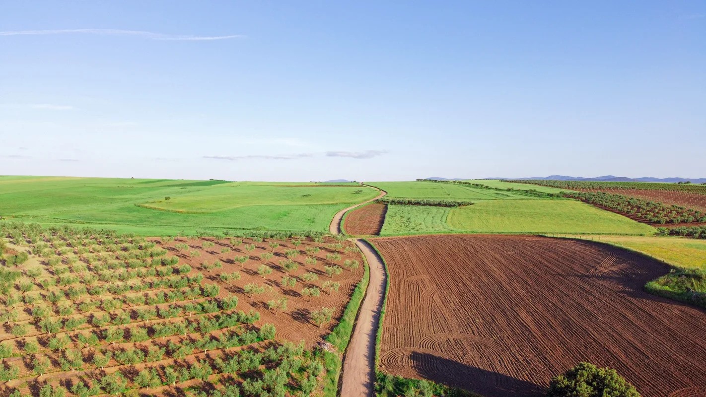 Grupo espanhol vende 450 hectares de terrenos agrícolas no Alentejo