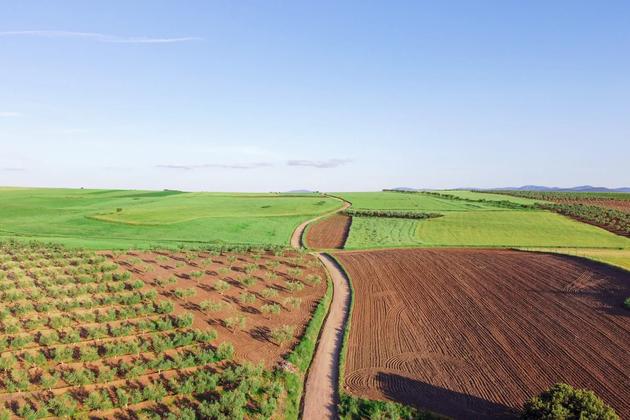 Grupo espanhol vende 450 hectares de terrenos agrícolas no Alentejo