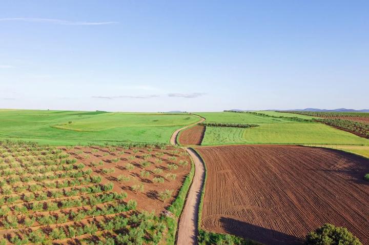 Spanish group sells 450 hectares of farmland in Alentejo